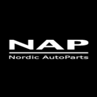 NAP - Nordic AutoParts Logo