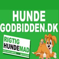 Hundegodbidden