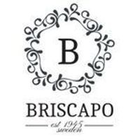 Briscapo Logotyp