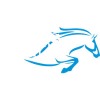 Nags Essentials Logotype