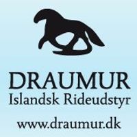 Draumur Logo