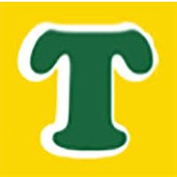 Tinney's Toys Logotype