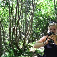 Barefoot & More Logotype