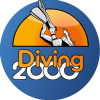 Diving 2000 Logo