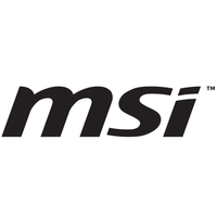 MSI Logotype