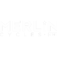 Merlin Logotype