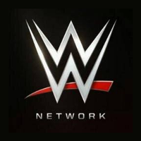 Wwe Shop Logotype
