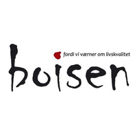 Boisen Logo