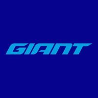 Giant Logotype