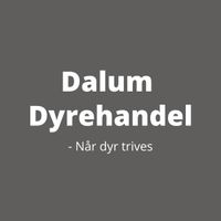 Dalum Dyrehandel Logo