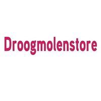 Droogmolenstore Logotype