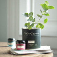 Little Greene Logotype