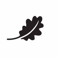 Feuerhand Baby Special 276 - Sage Green hos Naturfolk