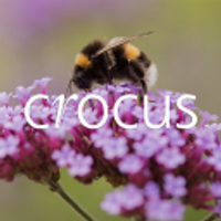 Crocus Logotype