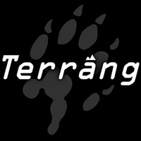 Terräng