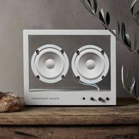 Transparent Sound Logotyp