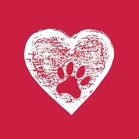 Revival Animal Health Logotype