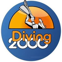 Diving 2000 Logo