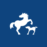 THIENEMANN-ESSLINGER Logo