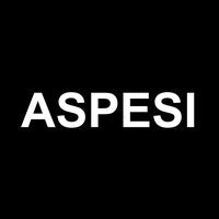 Aspesi Logotype