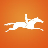 Schockemöhle Logotype