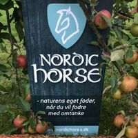 Nordic Horse