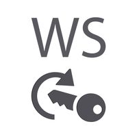 Win and Office WS Logotype