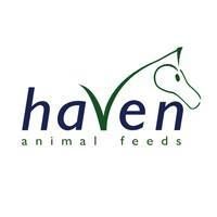Haven Logotype