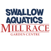Swallow Aquatics Logotype