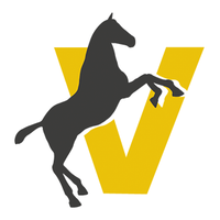 Equus vitalis Logotype