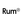 Rum21 Logotyp