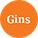 Gins.dk Logo