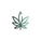Medimary Logo