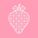 Strawberrynet Logotype