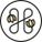 House of Organic Logotyyppi