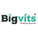 Bigvits Logotype