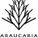 Araucaria Logotype