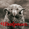 Woolpower Logo