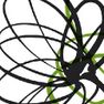 Fischer Pure Nature Logo