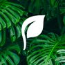 puremetics Logo