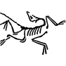 Arc'teryx Logo