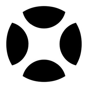 Dronestore Logotyp