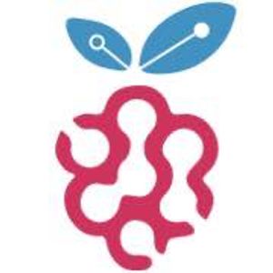 BerryBase Logo
