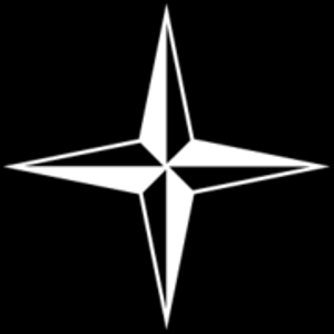 Stone Island Logotype