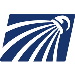 Badmintonshoppen Logo