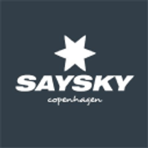 SAYSKY Logo