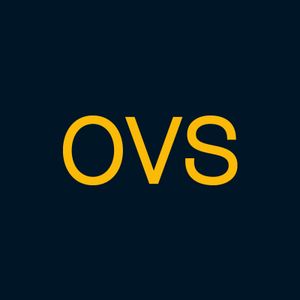 OVS Logotipo