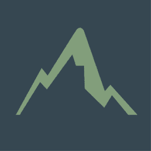Topstore Logotype