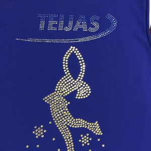 Teijas Skateshop Logotyp