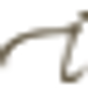 Jane Iredale Danmark Logo